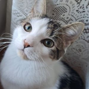 Meet your Posher, Rosie